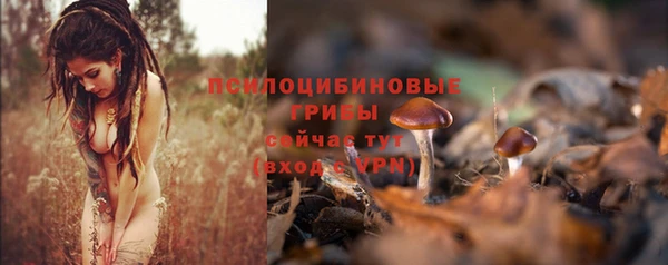 героин Арсеньев