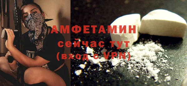 индика Вязьма